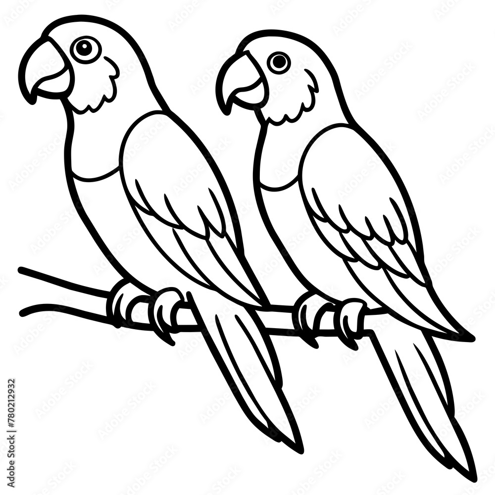 parrots on a branch parrots on a branch