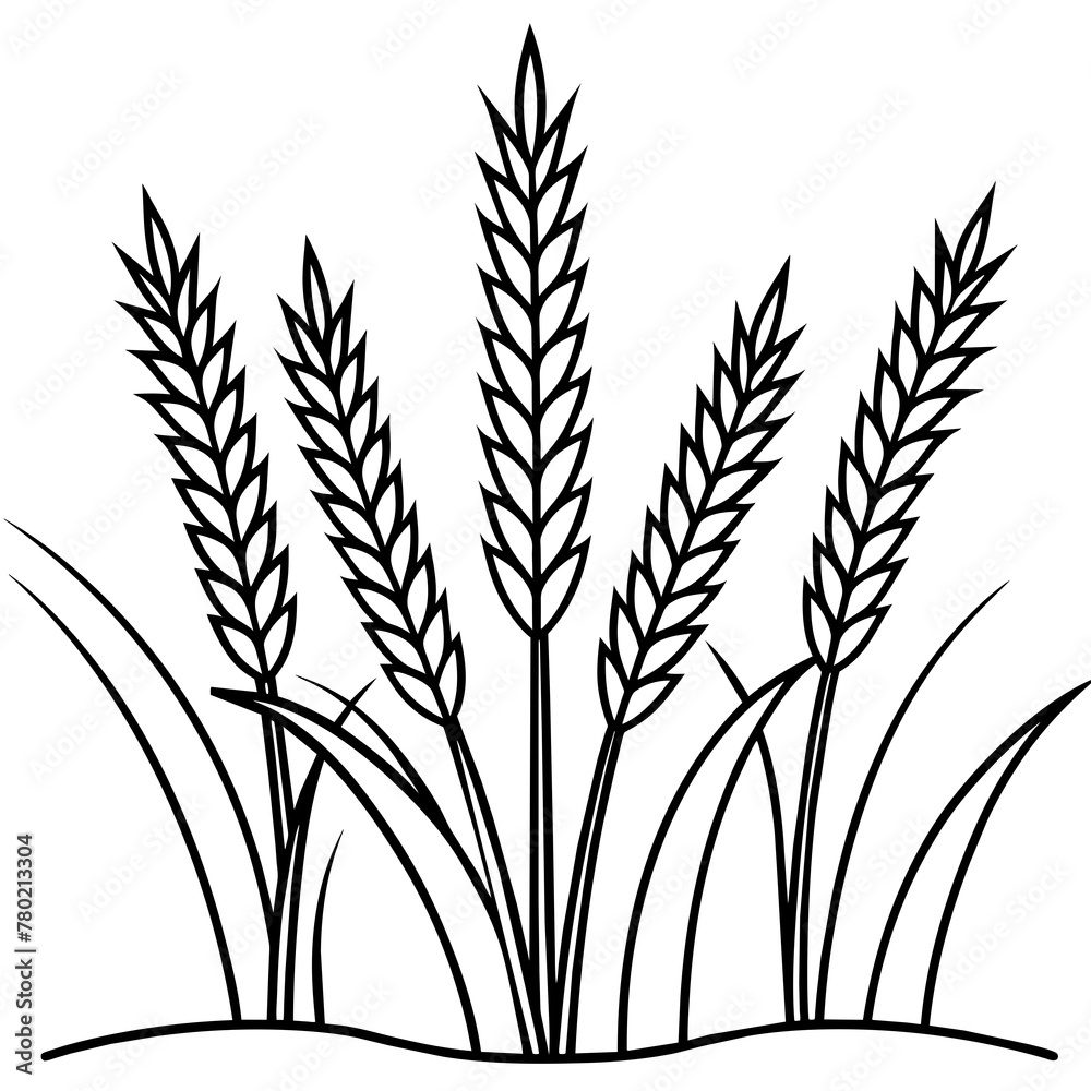 ears of wheat illustration ears of wheat illustration