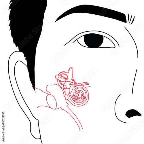 A man's face with a red line meniere, disease, illustration on white background photo