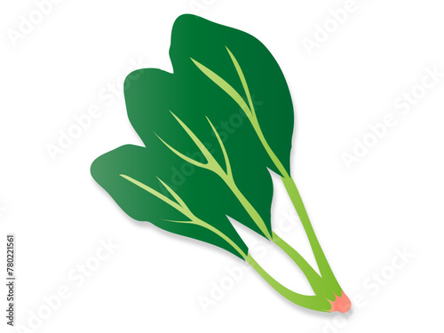 ほうれん草のイラスト