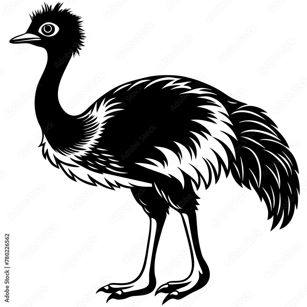 illustration of an ostrich,black emu silhouette vector illustration,icon,svg,bird characters,Holiday t shirt,Hand drawn trendy Vector illustration,emu on a white background illustration of an ostrich,black emu silhouette vector illustration,icon,svg,bird characters,Holiday t shirt,Hand drawn trendy Vector illustration,emu on a white background
