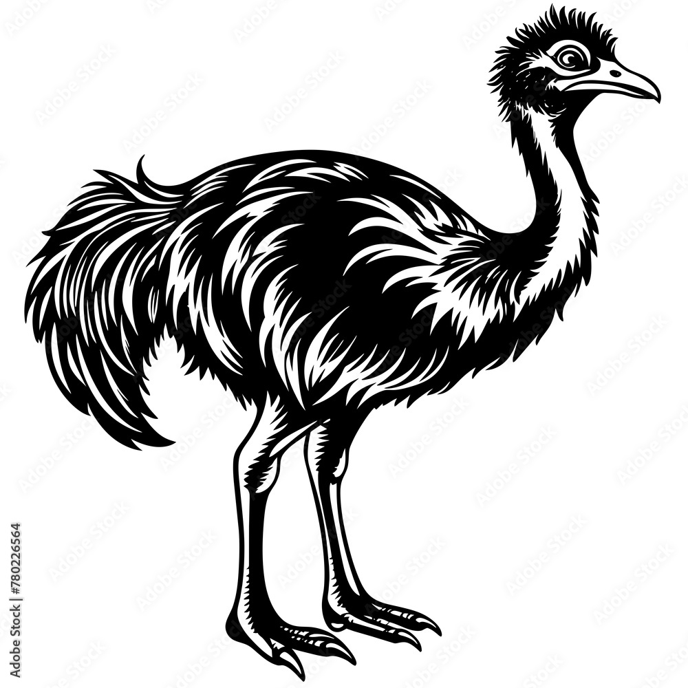 Naklejka premium illustration of an ostrich,black emu silhouette vector illustration,icon,svg,bird characters,Holiday t shirt,Hand drawn trendy Vector illustration,emu on a white background