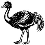 illustration of an ostrich,black emu silhouette vector illustration,icon,svg,bird characters,Holiday t shirt,Hand drawn trendy Vector illustration,emu on a white background