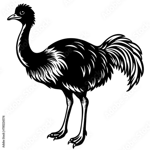 illustration of an ostrich,black emu silhouette vector illustration,icon,svg,bird characters,Holiday t shirt,Hand drawn trendy Vector illustration,emu on a white background photo