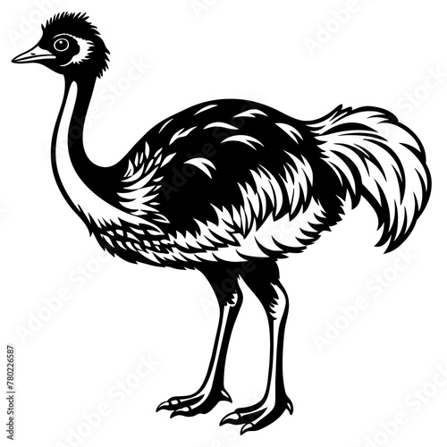 illustration of an ostrich,black emu silhouette vector illustration,icon,svg,bird characters,Holiday t shirt,Hand drawn trendy Vector illustration,emu on a white background photo