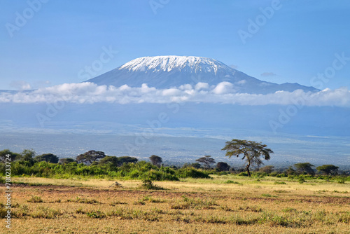 Beautiful African landscape on background of Kilimanjaro. Kenya. Africa. beautiful view of the African savanna and Kilimanjaro volcano photo