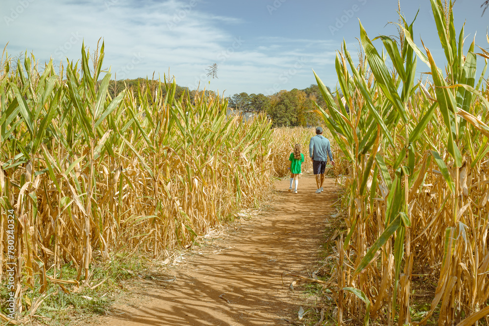 Fototapeta premium Background of a father and daughter hang out in a corn field