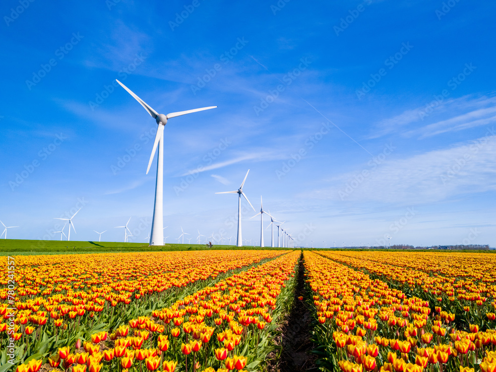 A vibrant field of colorful tulip flowers stretches into the distance, with majestic windmills
