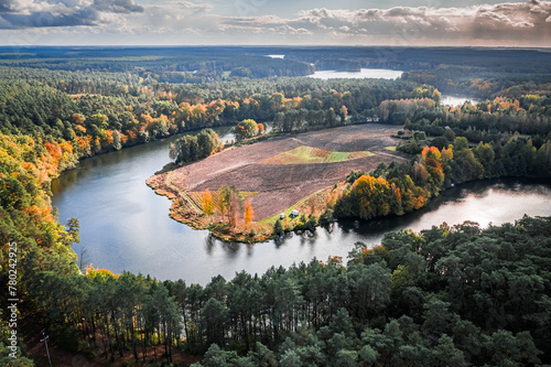 Fototapeta Naklejka Na Ścianę i Meble -  Big winding river and autumn forest, aerial view