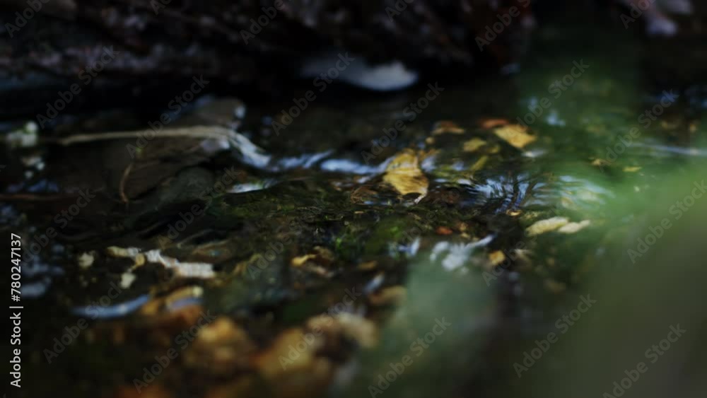 Shallow fresh water stream with rapid flow, zoom in close up Shallow fresh water stream with rapid flow, zoom in close up