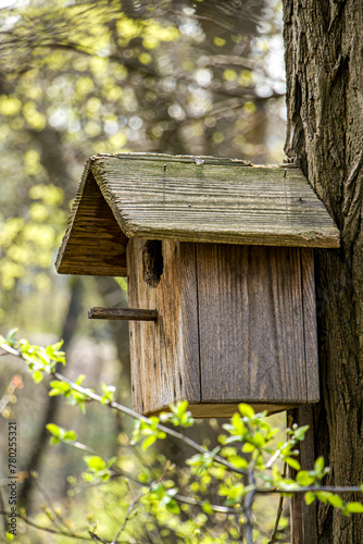 Birdhouse on a tree. Wooden birdhouse on a tree in spring. © Iryna