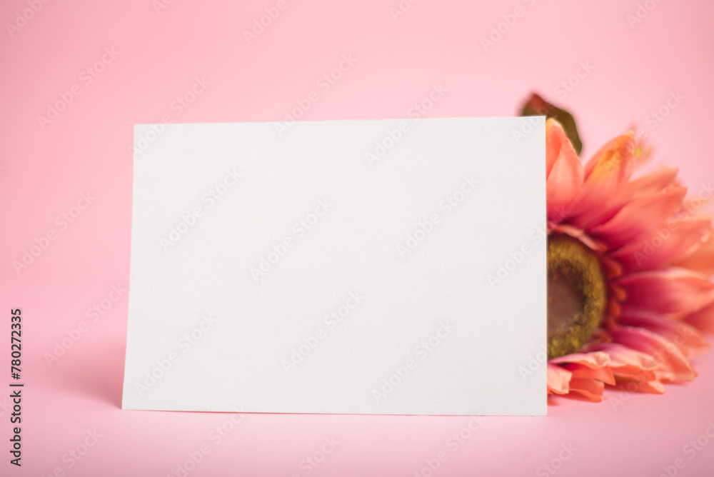 Blank postcard with flowers on pink background. Model. Blank postcard with flowers on pink background. Model.
