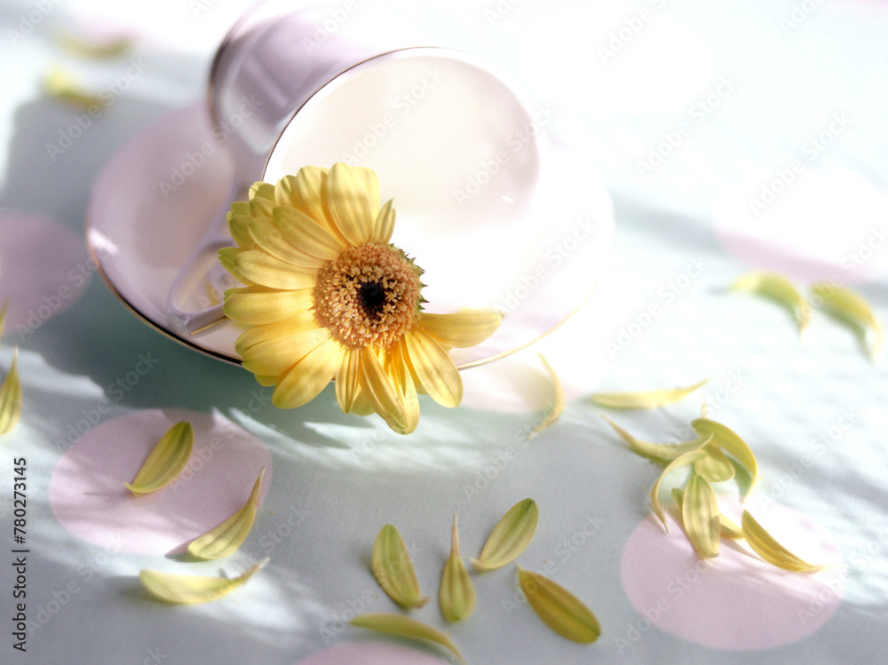 Gerbera Dasy and a cup