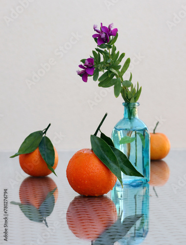 Milkwort flower and three tangerines