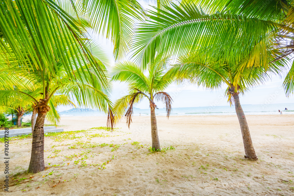 Coconut forest beach scenery at Coconut Dream Corridor in Sanya, Hainan, China