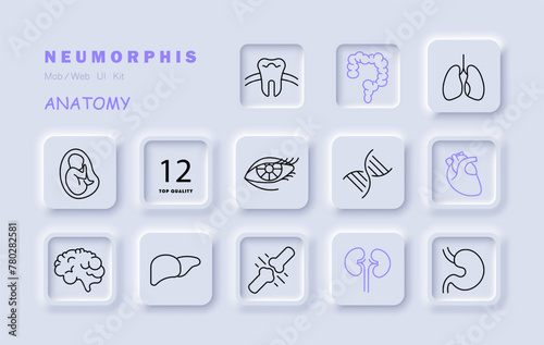 Organs set icon. Intestinal tract, stomach, liver, brain, lungs, embryo, DNA, tooth, eye, heart, eyelids, eyelashes. mesh. Self care concept. Vector line icon.