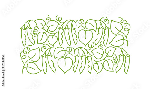 Peas or soy bean plant pattern ornament. Flourish background design element. Editable outline stroke. Vector line. © ilyakalinin