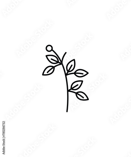 leaf icon  vector best line icon.