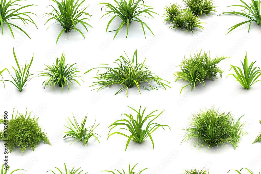 Various green houseplants on white for environmental themes Various green houseplants on white for environmental themes