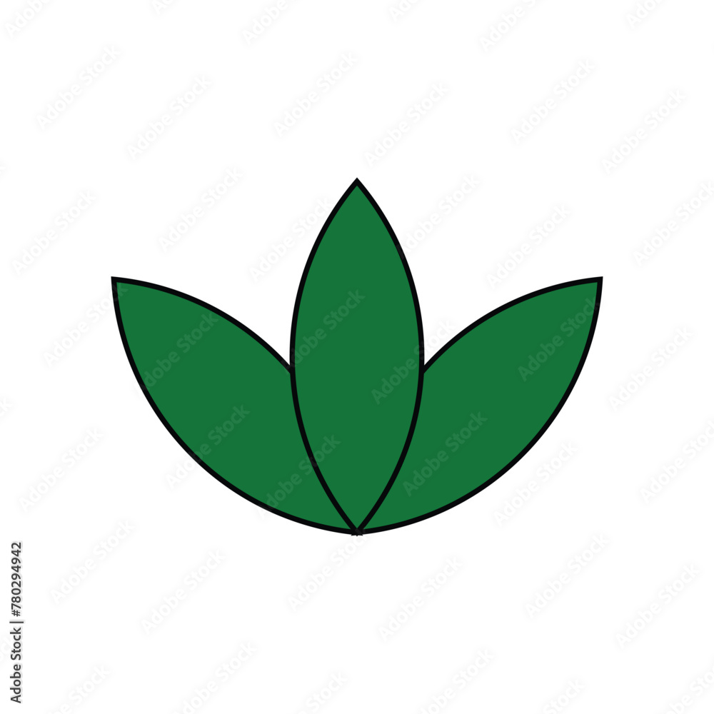 green leaf isolated green leaf isolated
