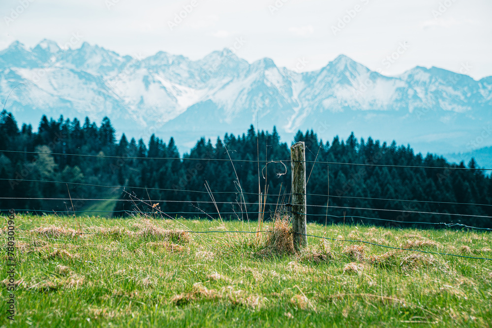 Góry, panorama Tatr w Polsce wiosną, widok z polany w Pieninach.