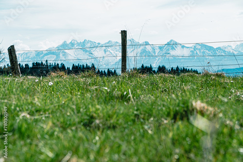 Góry, panorama Tatr w Polsce wiosną, widok z polany w Pieninach.