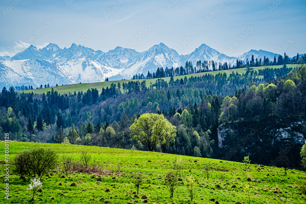 Góry, panorama Tatr w Polsce wiosną, widok z polany w Pieninach.