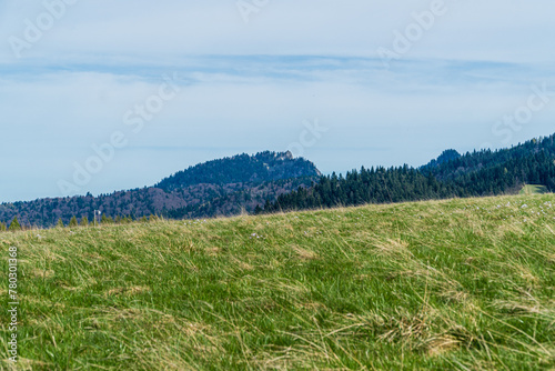 Łąka w górach z widokiem na Pieniny w Polsce wiosną.