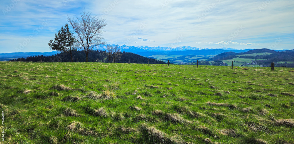 Góry, panorama Tatr w Polsce wiosną, widok z polany w Pieninach.