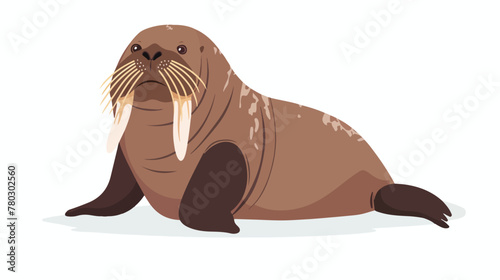 Cartoon cute walrus flat vector isolated on white background