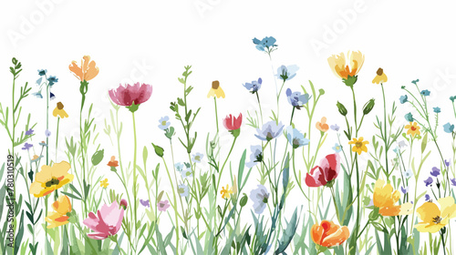 Watercolor Wildflower Meadows watercolor flowers wild © Nobel