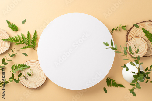 Wild nature beauty concept. Top view photo of empty round frame with eucalyptus and fern foliage and branches and wooden stands on isolated beige background with copy-space