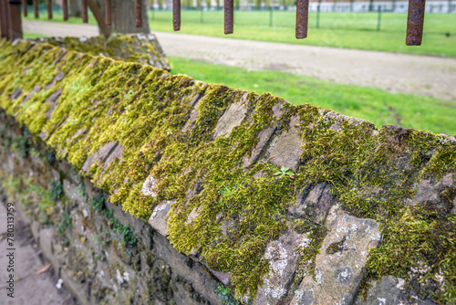 Mossy brick wall under a rusty fence