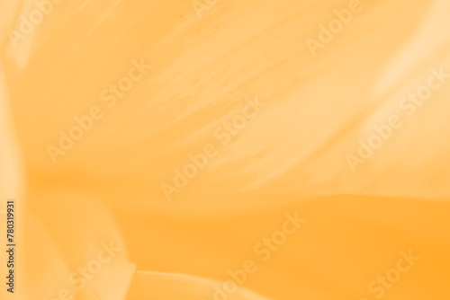 Light Amazon Orange Abstract Creative Background Design