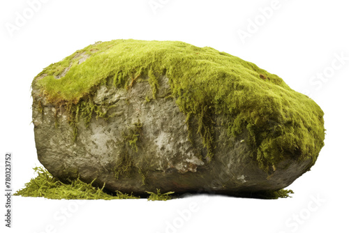 Green Moss-Covered Rock on White Background. On a White or Clear Surface PNG Transparent Background.