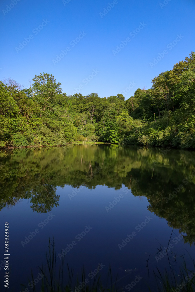 Vertical shot of a pond surrounded by lush greenery on a sunny day