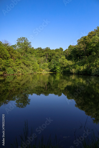 Vertical shot of a pond surrounded by lush greenery on a sunny day