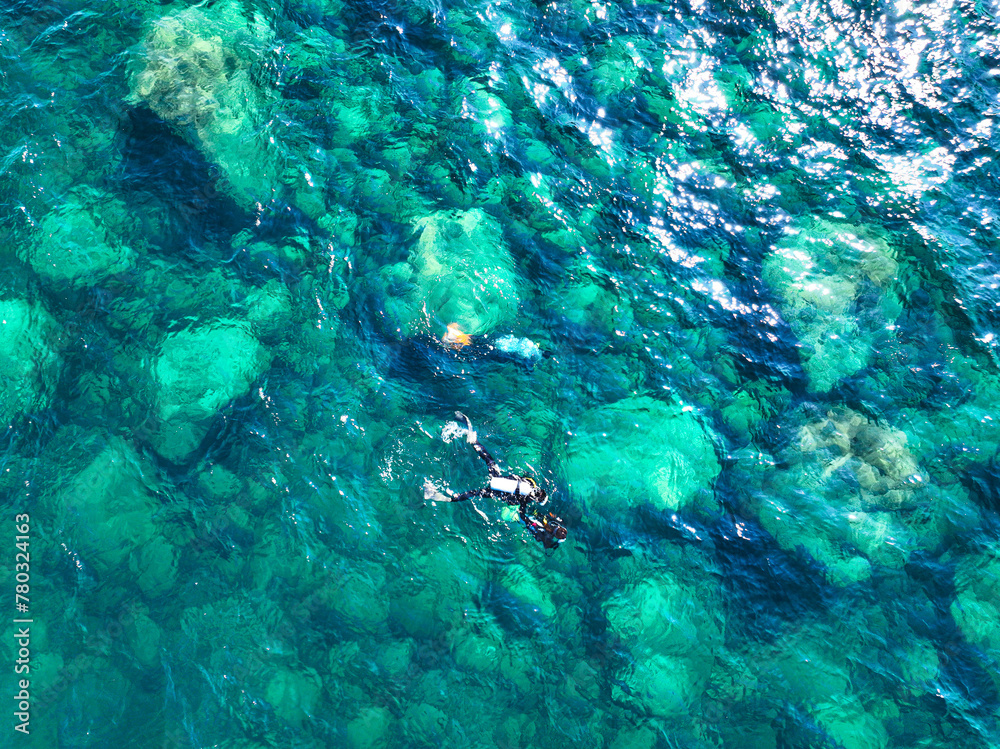 Fototapeta premium スキューバダイビング