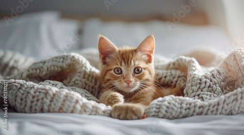 Cute ginger kitten lying on a cozy bed in the bedroom with a soft blanket. A cute animal wallpaper.