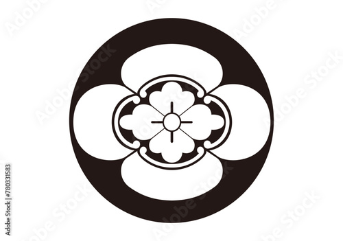 石持地貫木瓜