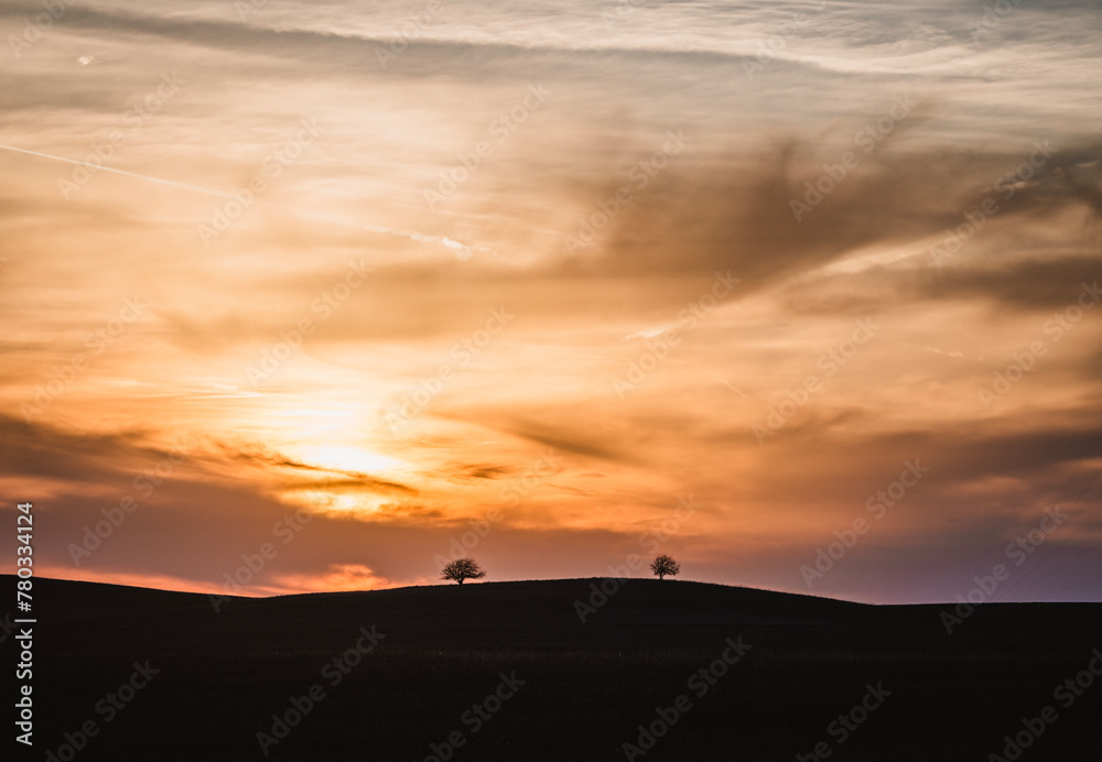Two trees silhouetted at sunset on the great plains, Kansas Two trees silhouetted at sunset on the great plains, Kansas