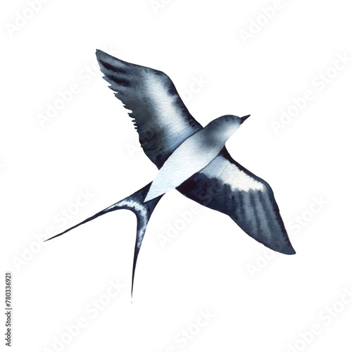 Swallow, martlet. Clear white sky, bird in natural habitat. Barn swallow flying, wings spread. Hirundo rustica on white background. Wildlife. Tattoo design, watercolor art, wild animals, free
