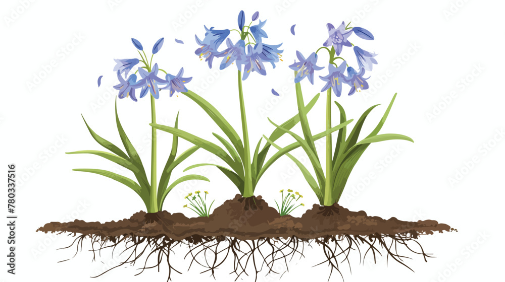 General view of Siberian squill or Scilla siberica - obrazy, fototapety, plakaty 
