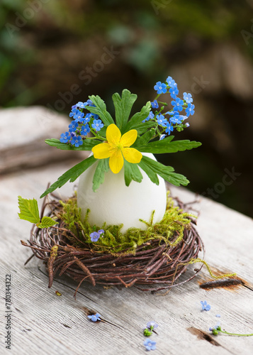Handmade easter decoration with sweet yellow wood anemone and  forget-me-nots flowers in egg shell vase nest on a rustic garden table. Floristic concept (Anemone ranunculoides)