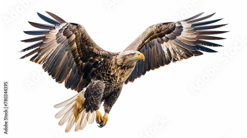 An eagle soaring in the air on a light background. An eagle before landing. AI generated.