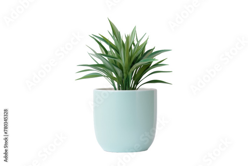A Potted Plant With a Lush Green Foliage. On a White or Clear Surface PNG Transparent Background.