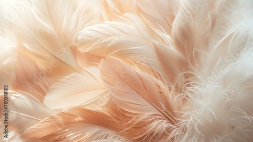 Soft and delicate ostrich feathers background in light pastel pink and beige colors.