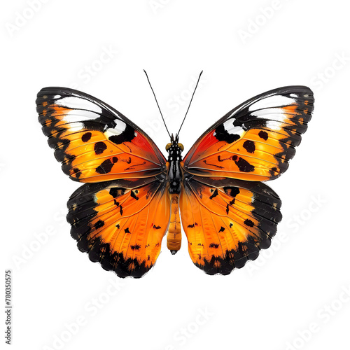Butterfly on transparent background. Generative ai design.