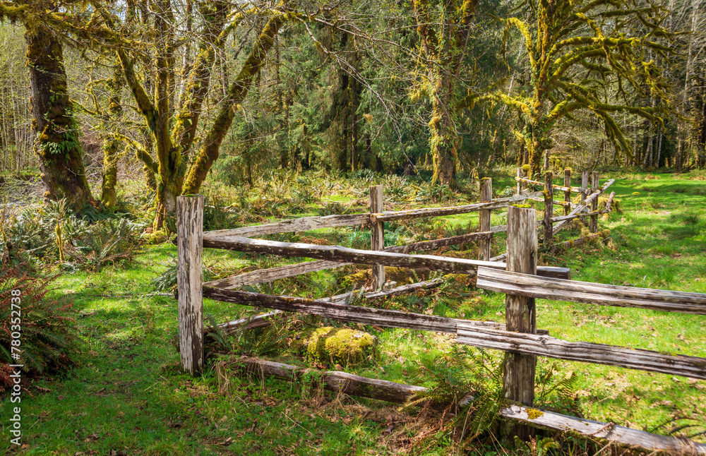 The Historic Kestner Homestead farm in the Quinault Rain Forest area of Olympic National Park, Washington State
