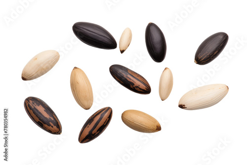 Assorted Nuts Arranged on White Background. On a White or Clear Surface PNG Transparent Background.